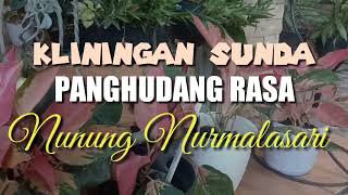 Download lagu Kliningan Sunda : Panghudang Rasa - Nunung Nurmalasari mp3 Download lagu Kliningan Sunda : Panghudang Rasa - Nunung Nurmalasari mp3