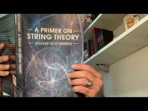 Referência 445: A primer on string theory