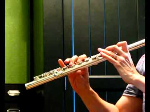 1969 Haynes Commercial Model with a  Di Zhao Handcut Headjoint (Demo of High Register)