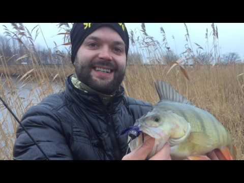 Opastusvideo - Jättiahvenia Spintube -heittoperholla - Ahvenen kalastus - Syysahven - Jiggaus