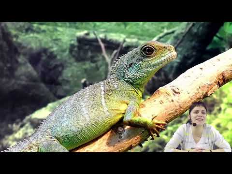 Ortaokul Fen Bilimleri