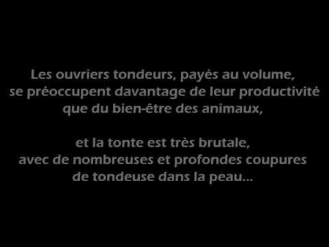 comment nettoyer de la vraie fourrure