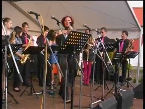 Petra Janů & ZUŠ - BAND Chlumec n. C. - P. Janda / M. Černý - NIC SE NEMĚNÍ