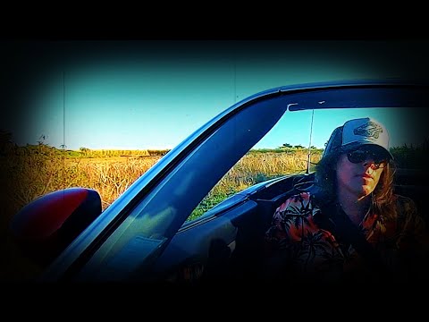 Ken Stringfellow – Ride High (Official Music Video)