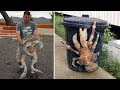 15 Abnormally Large Creatures That Really Exist!