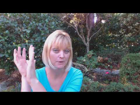 Connecting with Pleiadians - Electra