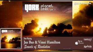 Jus Bus & Vinni Hamilton - Sounds of Revolution