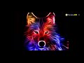 Saaho Movie Mass Background Music Whatsapp Status Young Rebel Star Prabhas