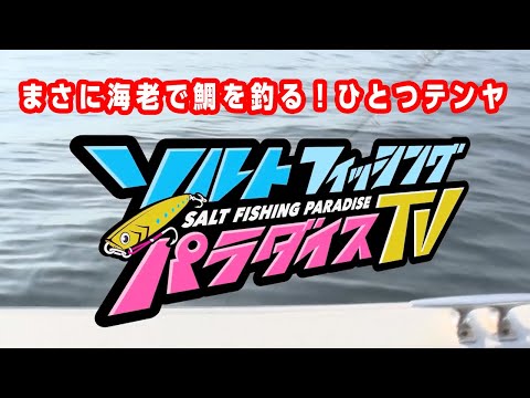 まさに海老で鯛を釣る！ひとつテンヤ（ソルパラTV・第40回2021年7月1日放送）