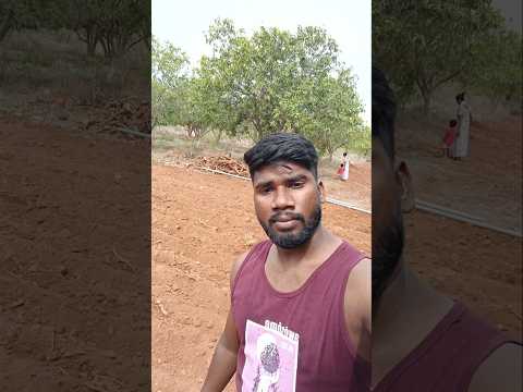 #viralvideo#viralvlogs#viralshorts#youtubeshorts#shortvideo#youtubevideos#prasadkuwait