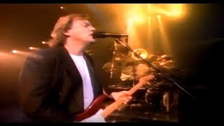 Pink Floyd - &quot; SORROW &quot; Delicate Sound of Thunder 1988
