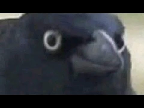 Riski Inrahim X Batak Perantau - Kagak Ada Dua ( Unofficial Lyrics Video)