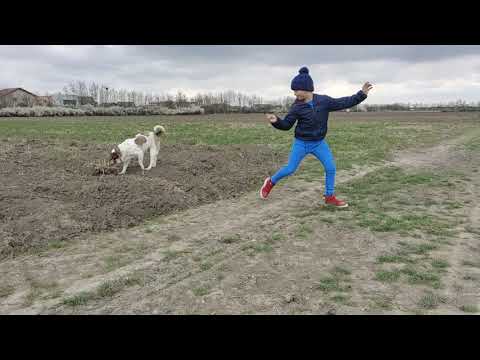 vivo X51 5G slow mo 2