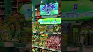 Venlo（フェンロー）に行った日のVlogパート2#ドイツ #vlog #お散歩 #オランダ#ヨーロッパ#ヨーロッパでの休暇