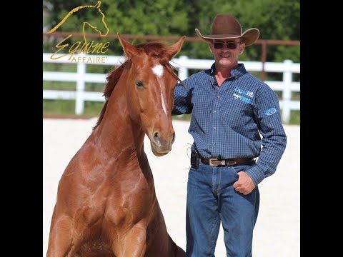 Equine Affaire Educational Program - Warwick Schiller on Working Your Horse from the Ground