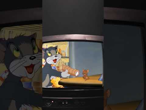 What is a sexual creampie?