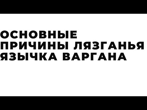 4 основные причины лязганья язычка варгана