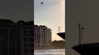 Carnival Horizon 🛳️ #share #yt #subscribe #comment #cruise #vacation #shortvideo #shortsvideo #fun