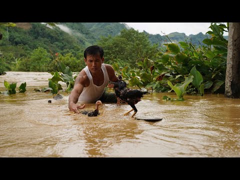 CEO gives up urban life: Wild, saves chickens and furniture from terrifying flash flood