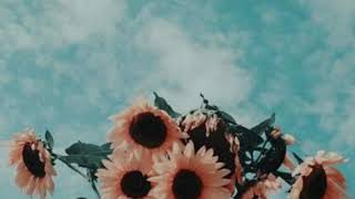 Like Everybody Else (Acoustic) - Lennon Stella (Slowed)