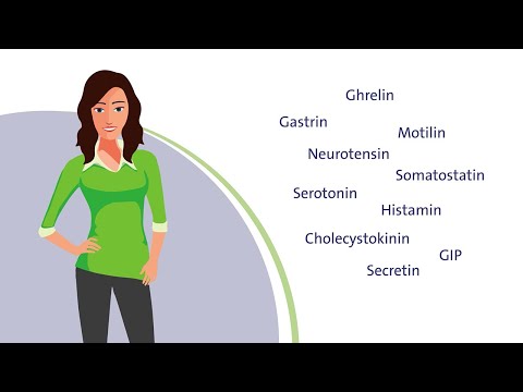 Hormone des Verdauungstrakts – Weichensteller für Appetit und Verdauung