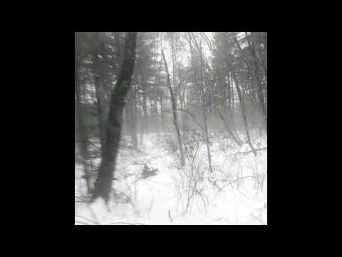 Indie Folk x Acoustic Guitar Type Beat - "Snowfall"
