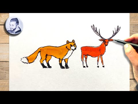 Comment dessiner les animaux de la forêt