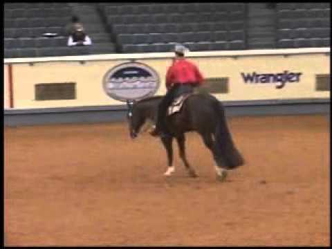 Mark Sheridan, What We Do