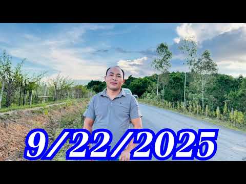 Npam tuag kiag lawm los zoo