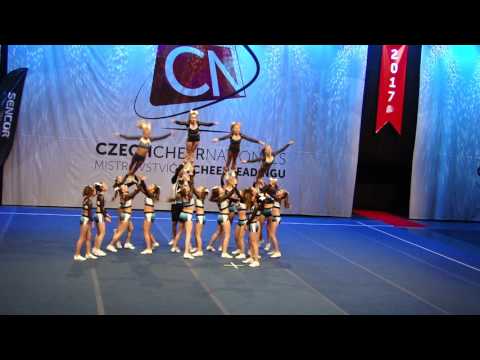 JNS Falcons - team coed junior L3
