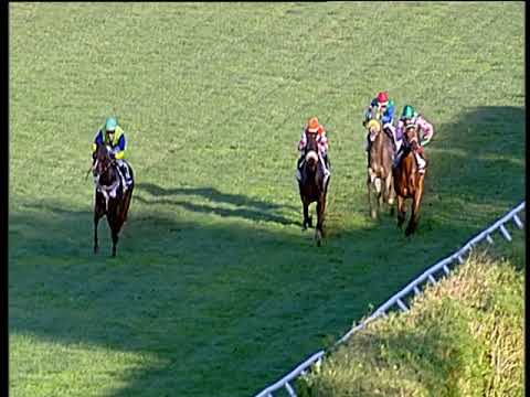 Galoppo 30/11/2019 - 2ª corsa