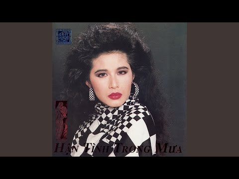 Mưa về thành phố - Nguyễn Tâm