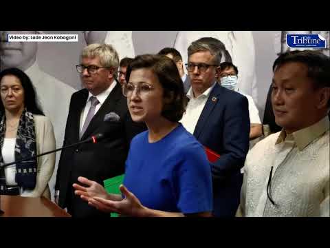 PHL SENATORS MEET EU PARLIAMENTARIANS