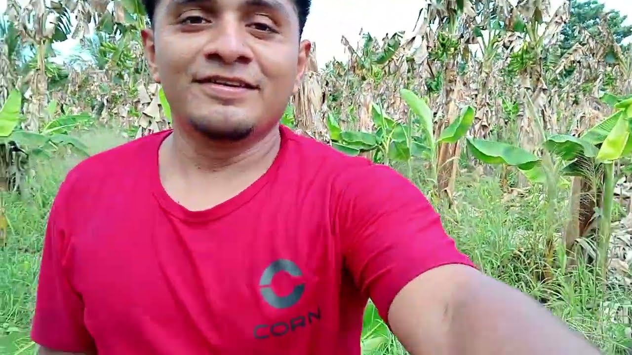 Por fin Teco empieza a trabaja4 ya no quiere ser un mant3nido