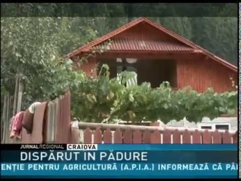 DISPĂRUT ÎN PĂDURE
