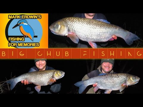 BIG CHUB FISHING - Red Letter Chub Fishing! (Video 216)