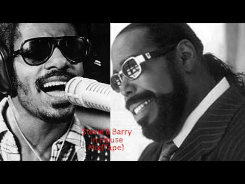 Stevie & Barry In House Mix(tape)