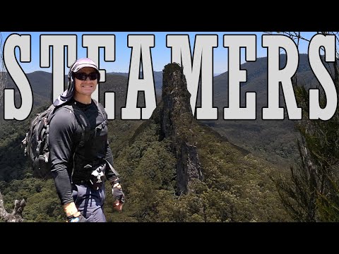 download lagu mp3 mp4 The Steamers, download lagu The Steamers gratis, unduh video klip The Steamers