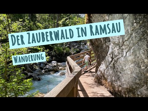 Wanderung durch den Zauberwald