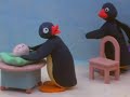 Pingu S01E04 Pingu Is Born