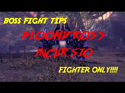 Blade and Soul Gloomdrose "BOSS FIGHT ONLY" (Soul Fighter Class)