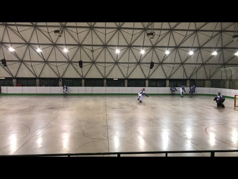 Rhinos Treviso Vs Fiamma Gorizia - 1T - 2017.12.17