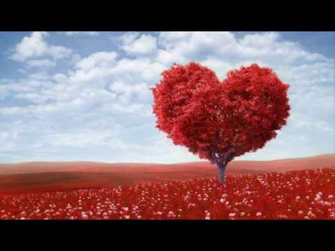 The Parakit - Save Me (feat. Alden Jacob)[Official Video]