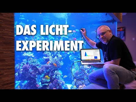 Warum wieder HQI über dem MEERWASSERAQUARIUM?! ...Claude forscht in Amerika @PoloReef Teil 2