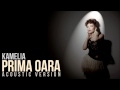 Kamelia - Prima Oara ( Acoustic Version ) 