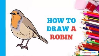 How to Draw a Robin in a Few Easy Steps: Drawing Tutorial for Beginner Artists