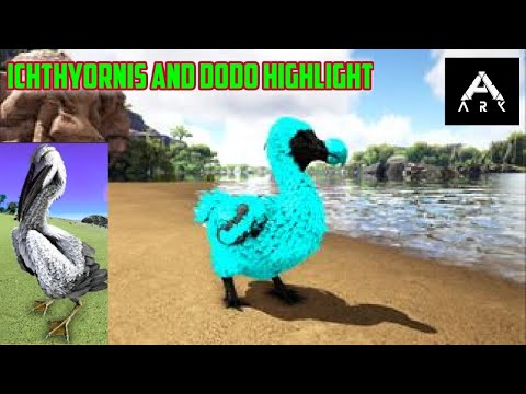 Ark survival evolved Ichthyornis and Dodo abilities and how to use