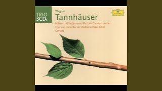 Wagner: Tannhäuser, WWV 70 / Act 3 - &quot;Allmächt&#39;ge Jungfrau, hör mein Flehen!&quot;