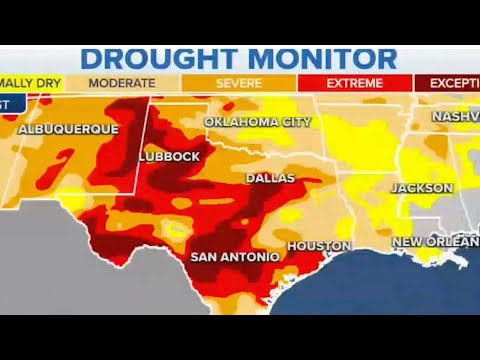 Jane, you ignorant slut. Jane gets pwned on her news show. Police tactics in Wyoming County, NY.