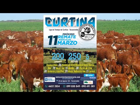 Remata Ernesto Esteves y Cia - Local Liga del Trabajo de Curtina Tacuarembó- 11 de Marzo de 2026